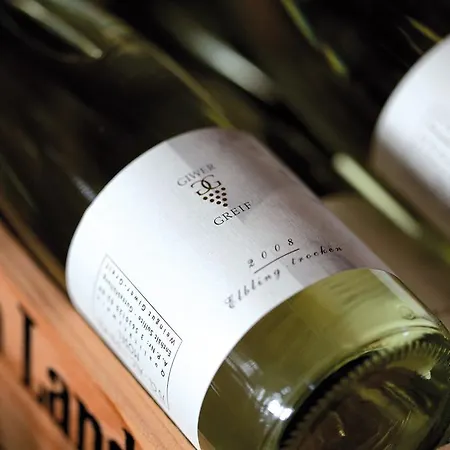 Weingut & Gaestehaus Giwergreif 招待所 Wasserliesch